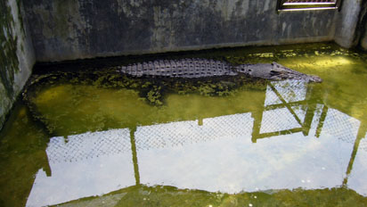 700kg of destruction has killed 4 people