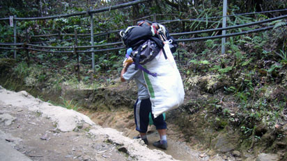 Mount Kinabalu Porter