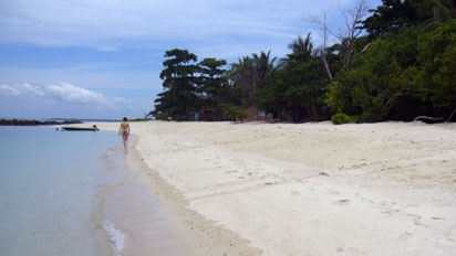 Beach from Turtle Island