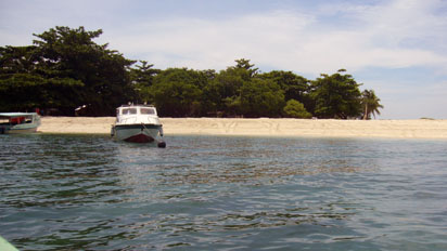 Turtle tracks can be seen up the water edge