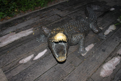 Crocodile greets visitors entering 