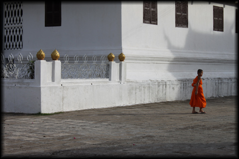 Young Monk in Laos