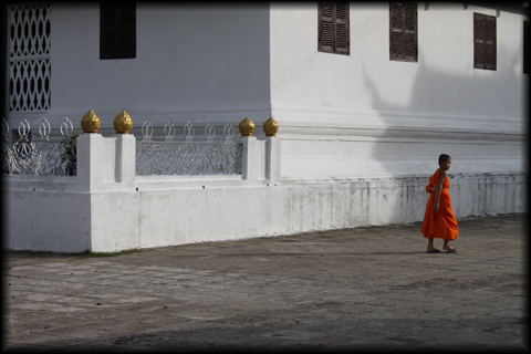Young Monk in Laos
