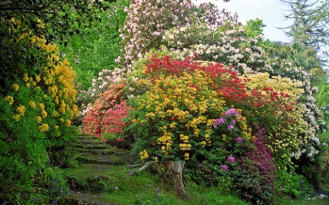 gardens in England