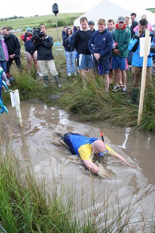 bog snorkelling