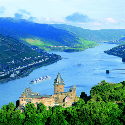 Castle on the Rhine